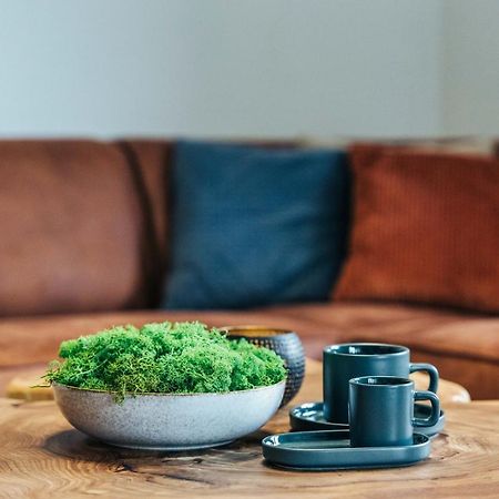 Premium Apartman Lipno リプノ・ナト・ヴルタヴォウ エクステリア 写真